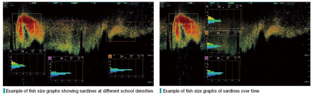 Example Of Fish Size Graphs